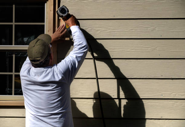 Best Custom Trim and Detailing for Siding  in South Apopka, FL